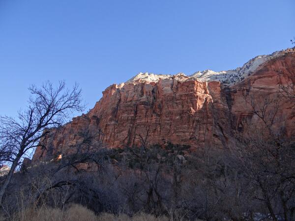 Image: Zion National Park