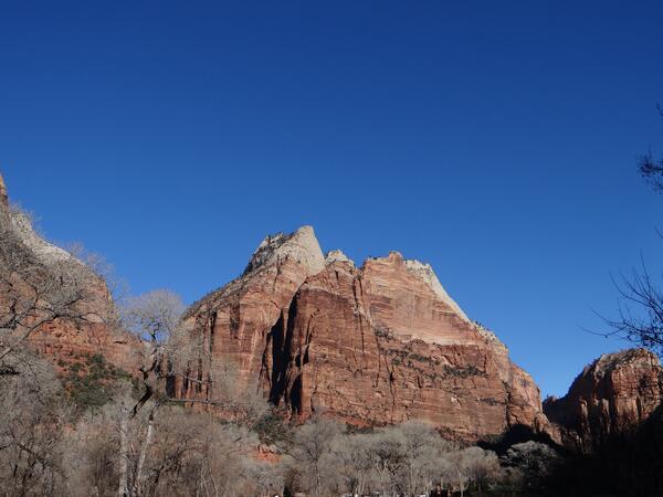 Image: Zion National Park