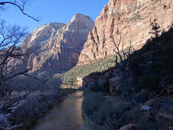Image: Virgin River in Zion National Park