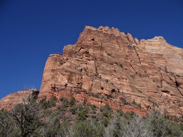 Image: Sandstone Cliff in Zion National Park