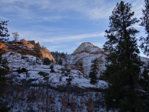 Image: Snow-covered Sandstone in Zion