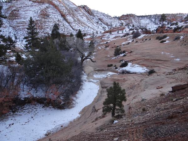 Image: Snow-covered Sandstone in Zion