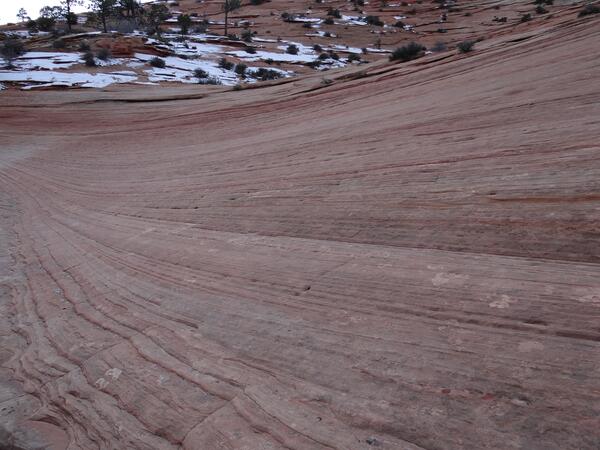 Image: Sandstone Erosion Patterns in Zion