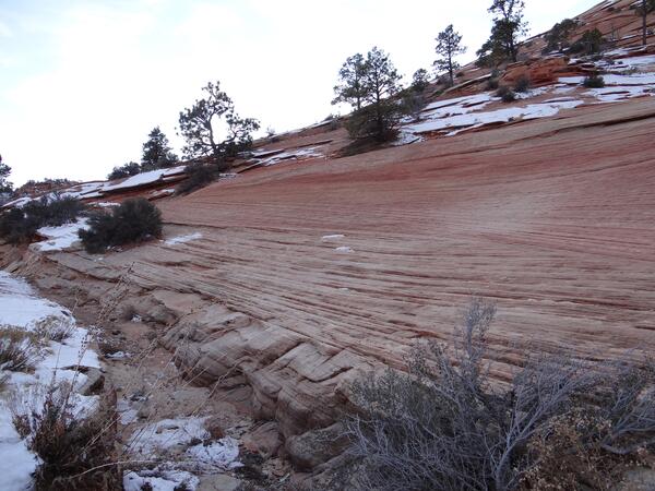 Image: Sandstone Erosion Patterns in Zion