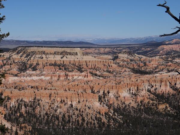Image: Bryce Amphitheater