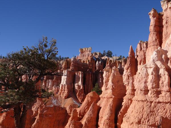 Image: Queen's Garden Hoodoos