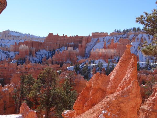 Image: Bryce Canyon Hoodoos