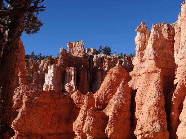 Image: Bryce Canyon Hoodoos