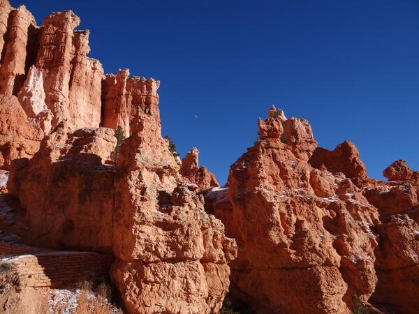 Image: Moon over the Queen's Garden