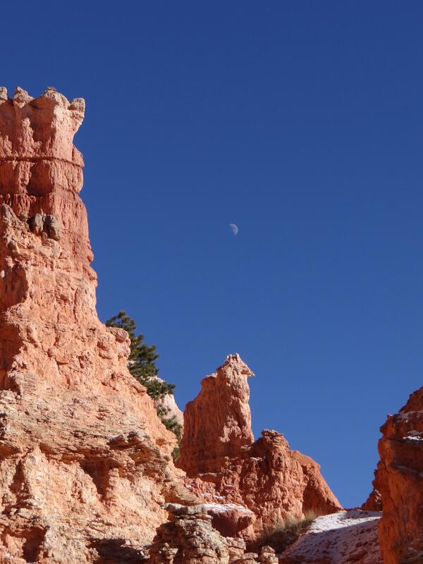 Image: Moon over the Queen's Garden