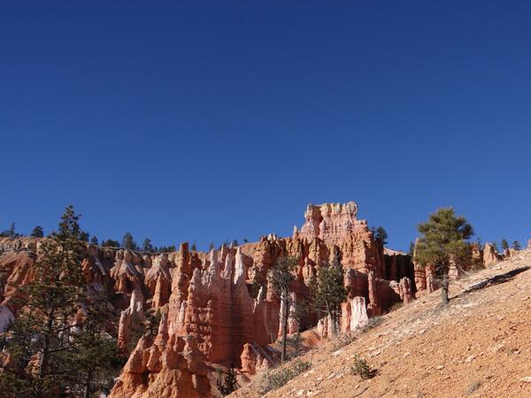 Image: Queen's Garden Trail