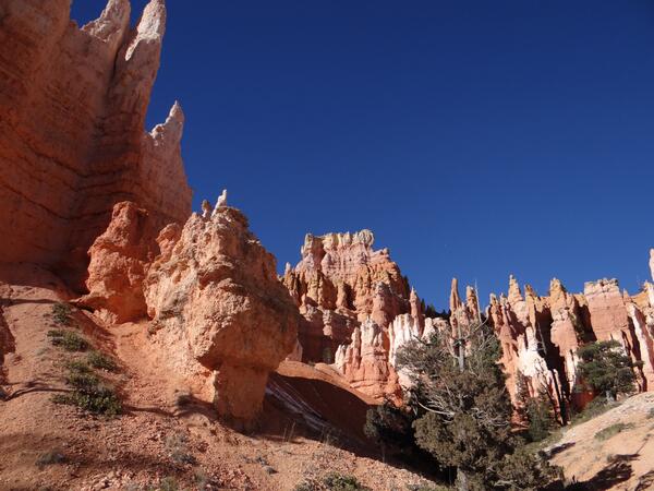Image: Bryce Canyon Hoodoos
