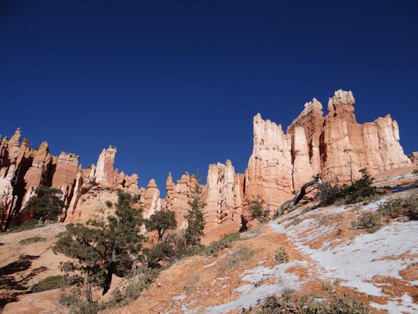 Image: Bryce Canyon Hoodoos