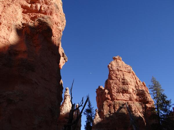 Image: Moon Framed by Hoodoos
