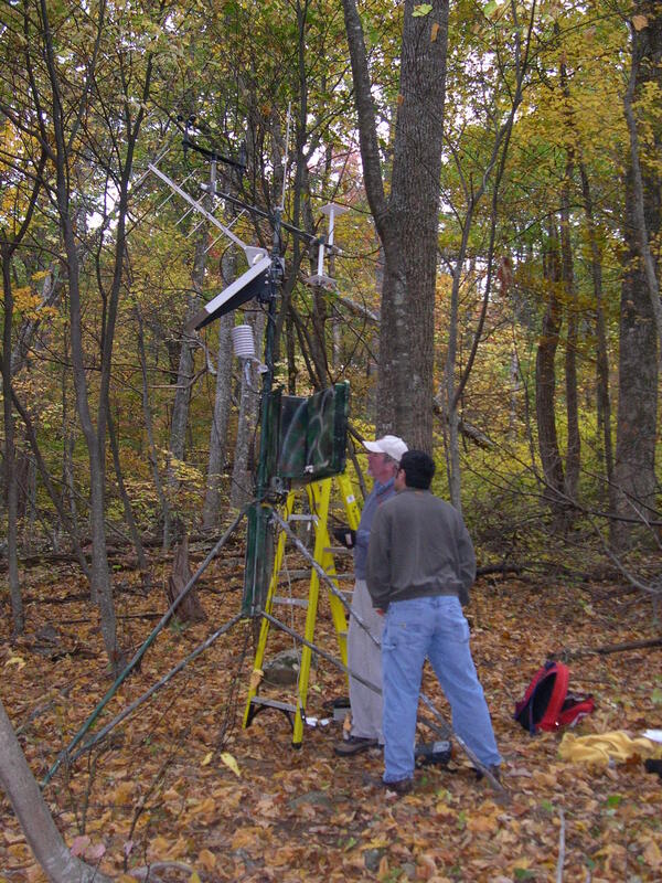 Image: Shenandoah National Park Field Work