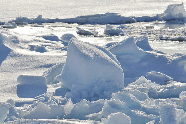 Image: Arctic Ice