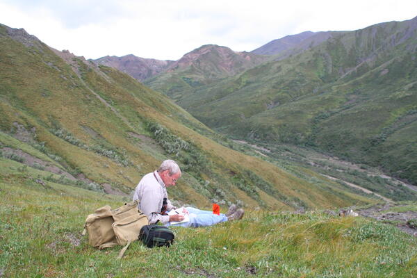 Image: Dall Sheep Habitat, Denali National Park, Alaska