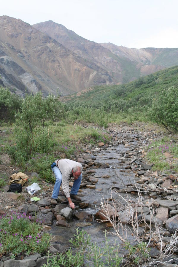 Image: Sampling Stream Water in Denali National Park, Alaska