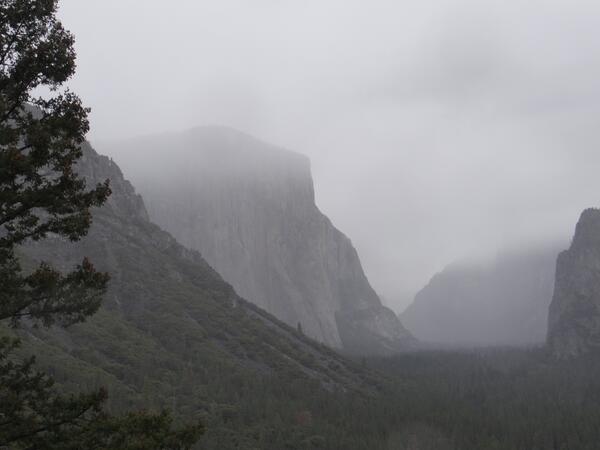 Image: El Capitan in Fog