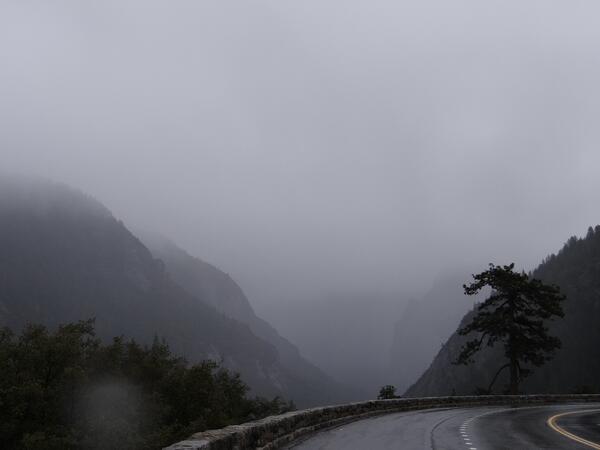 Image: Entrance to Yosemite Valley in Fog