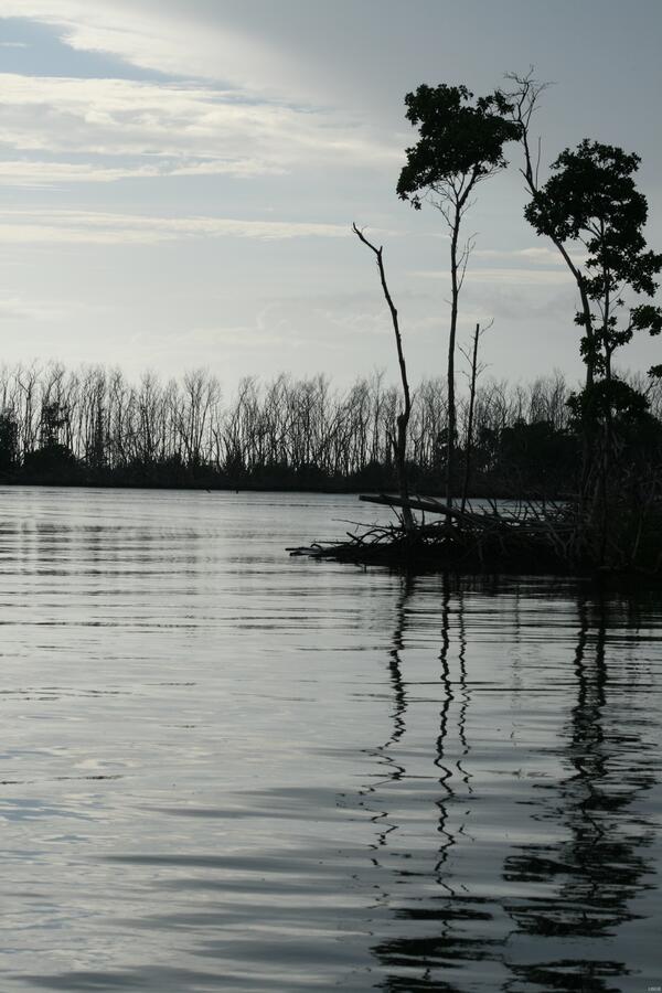 Image: After the Frost