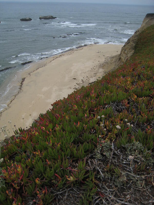 Will California eventually fall into the ocean?  U.S. Geological 