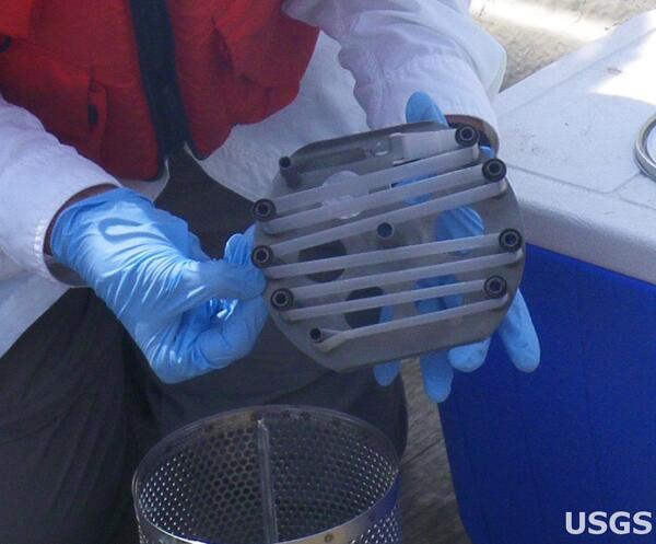 Image: Fatbag Membrane