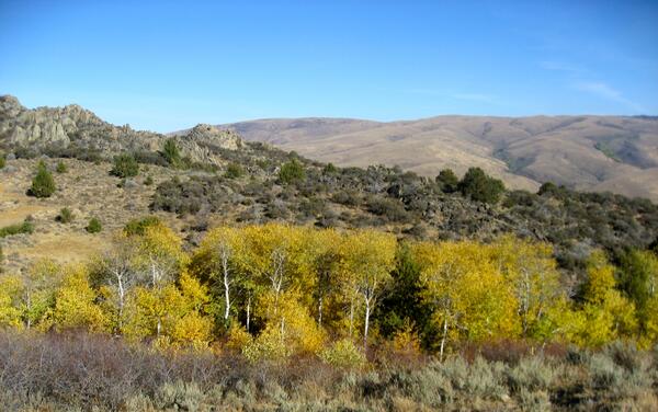 Image: Reynolds Creek Experimental Watershed
