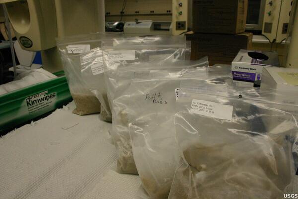 Image: Samples for Analysis