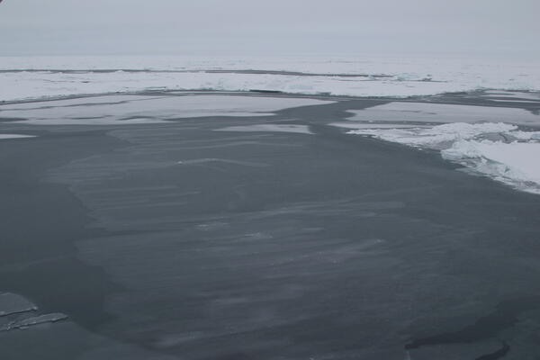 Image: Arctic Sea Ice