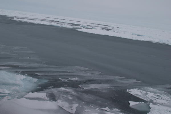 Image: Arctic Sea Ice