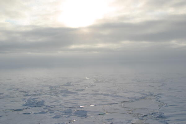 Image: Arctic Sea Ice
