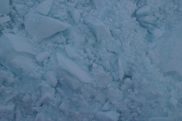 Image: Arctic Sea Ice