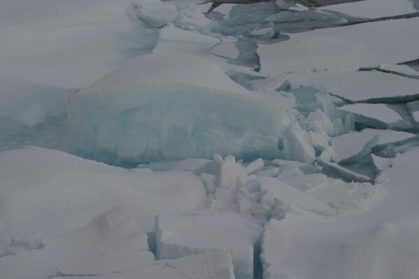 Image: Arctic Sea Ice