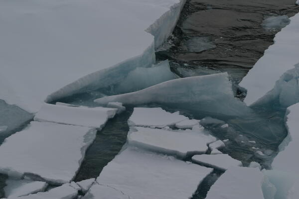 Image: Arctic Sea Ice