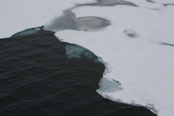 Image: Arctic Sea Ice