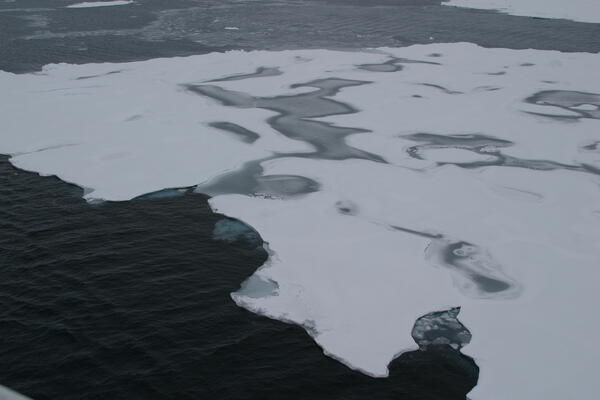 Image: Arctic Sea Ice