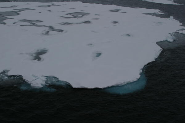 Image: Arctic Sea Ice