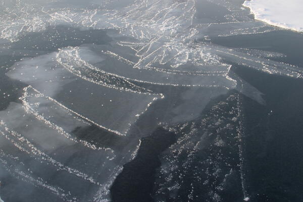 Image: Arctic Sea Ice
