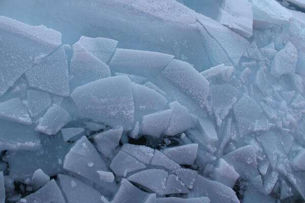 Image: Arctic Sea Ice