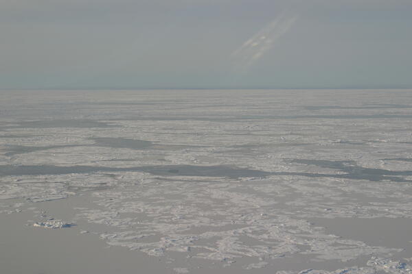 Image: Arctic Sea Ice