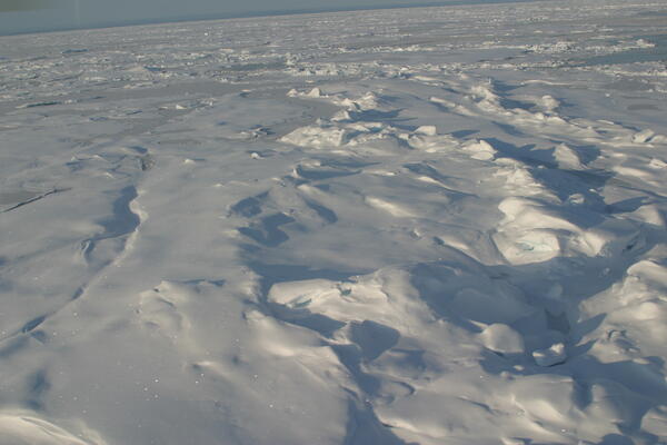 Image: Arctic Sea Ice