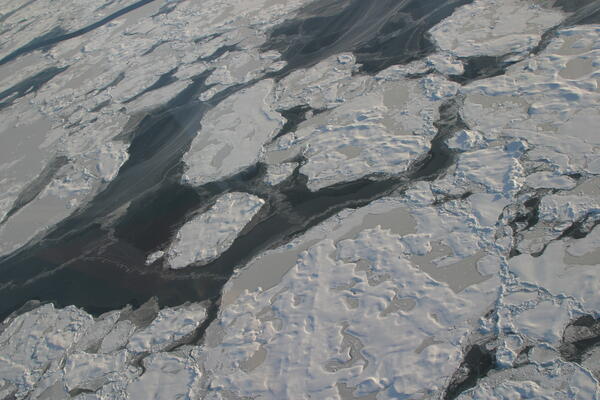Image: Arctic Sea Ice