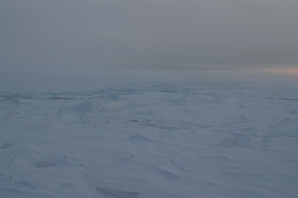 Image: Arctic Sea Ice