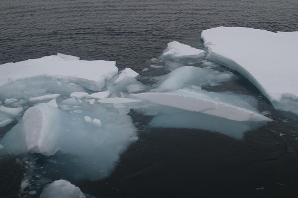 Image: Arctic Sea Ice