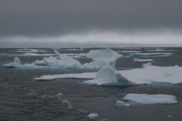 Image: Arctic Sea Ice