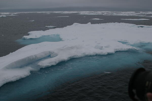 Image: Arctic Sea Ice