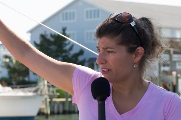 Image: Science Explained