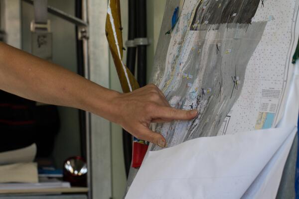 Image: Backscatter Data Map