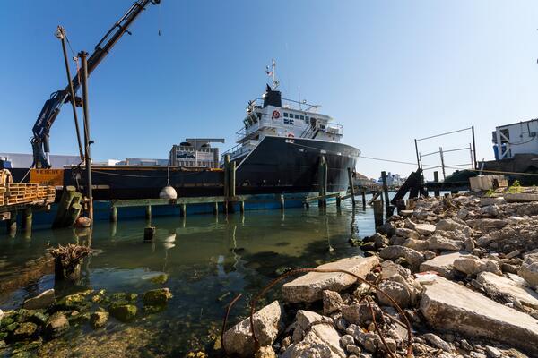 Image: The Scarlett Isabella